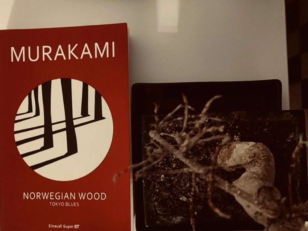 “Norwegian wood, tokyo blues”, sulla&nbsp;solitudine