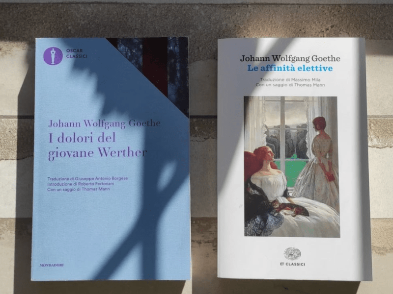 Pro e contro delle passioni, il “Werther” e “Le affinità&nbsp;elettive”